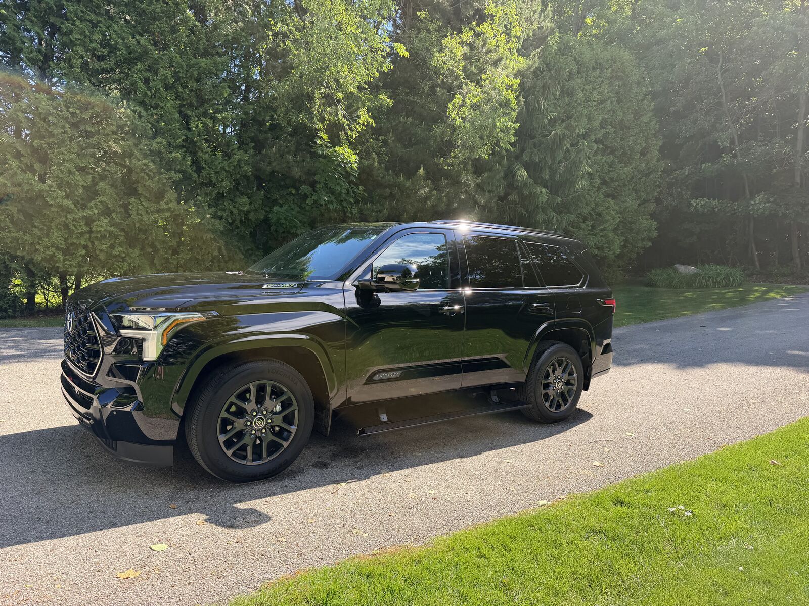 2023 TOYOTA Sequoia