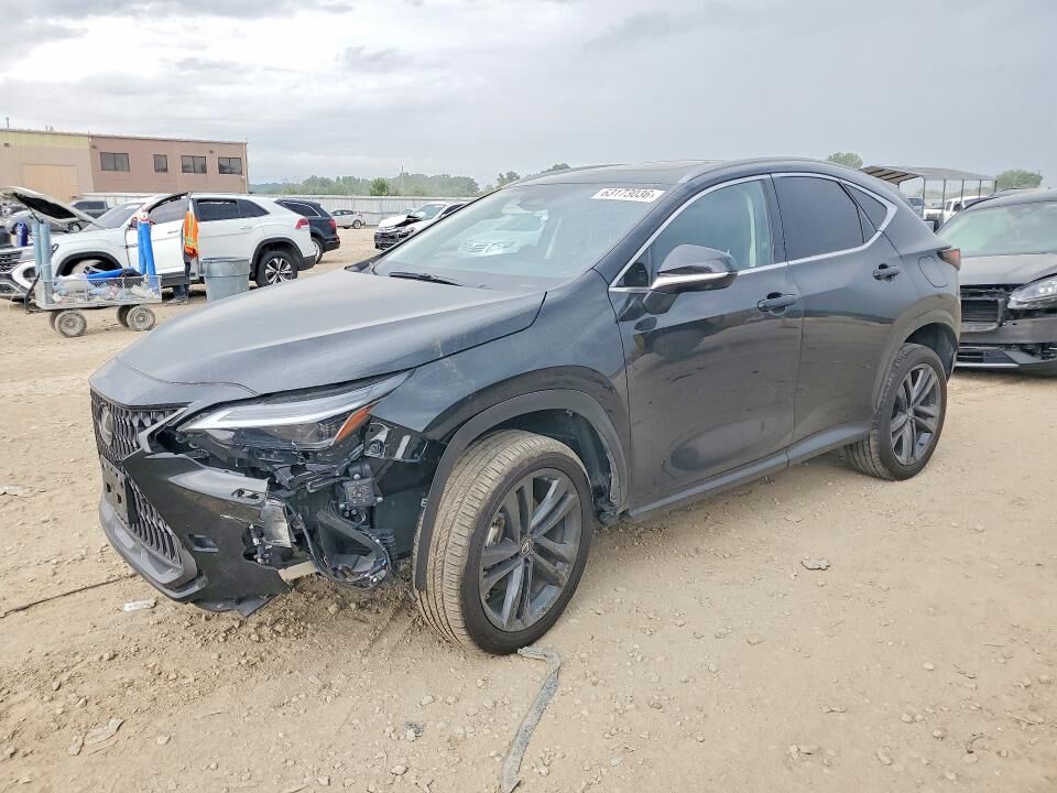 2024 LEXUS NX