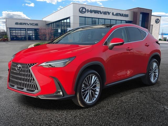 2025 LEXUS NX