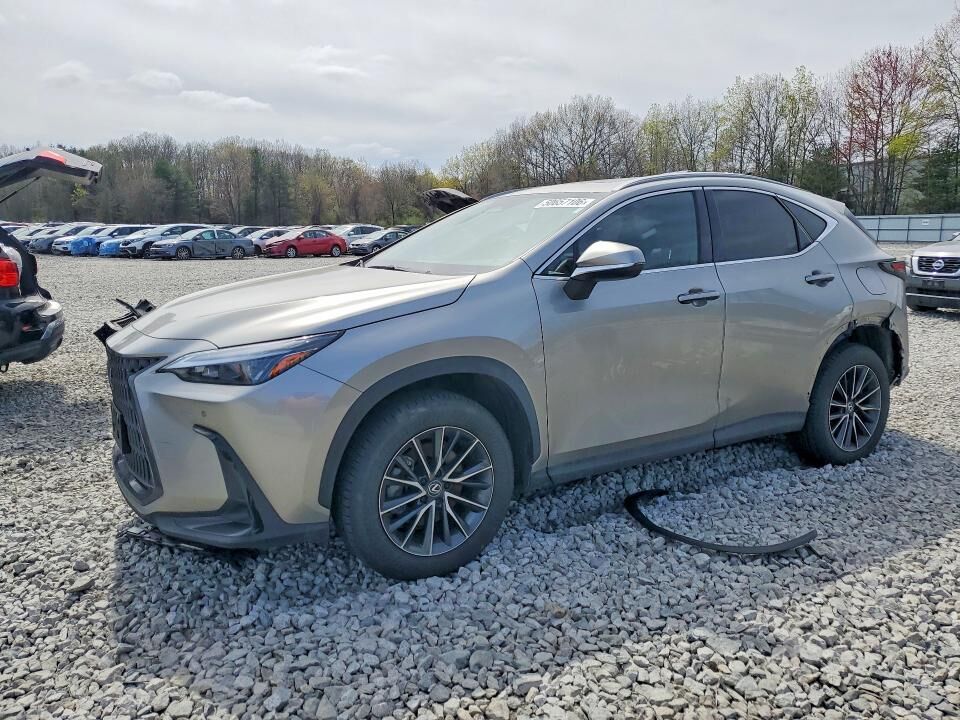2024 LEXUS NX