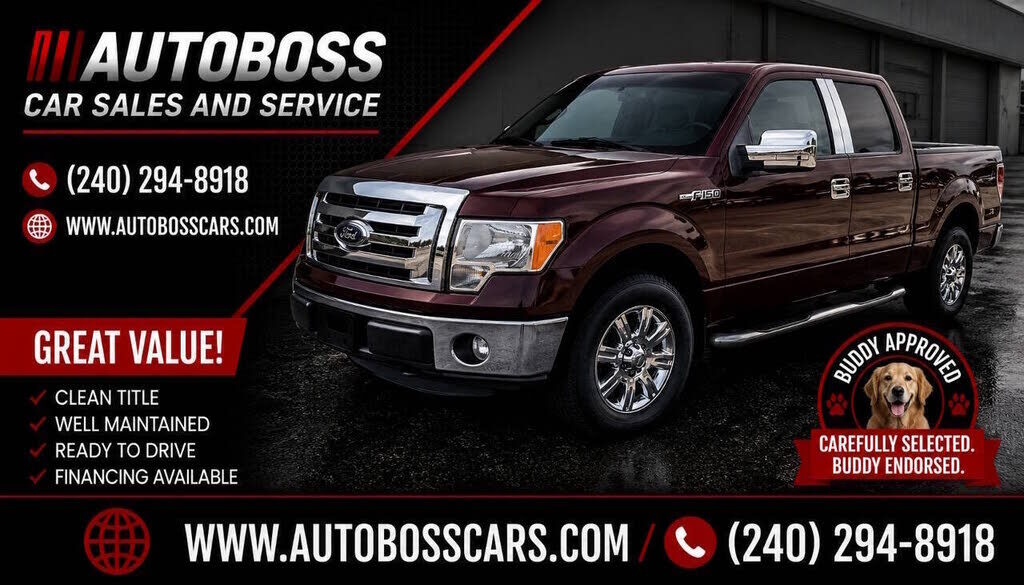 2010 FORD F-150