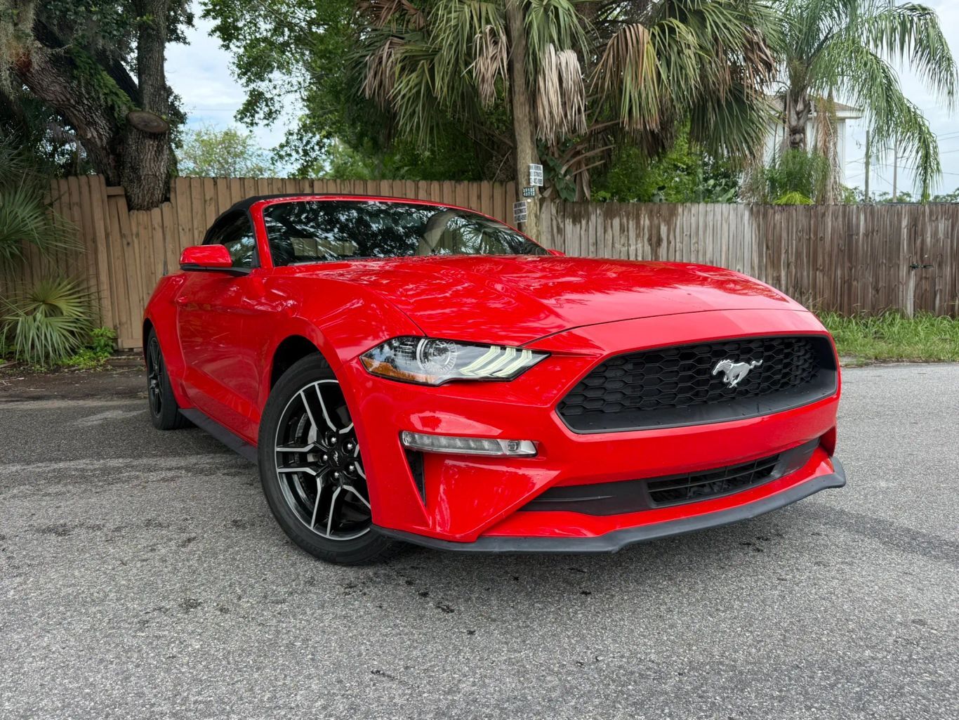 2020 FORD Mustang
