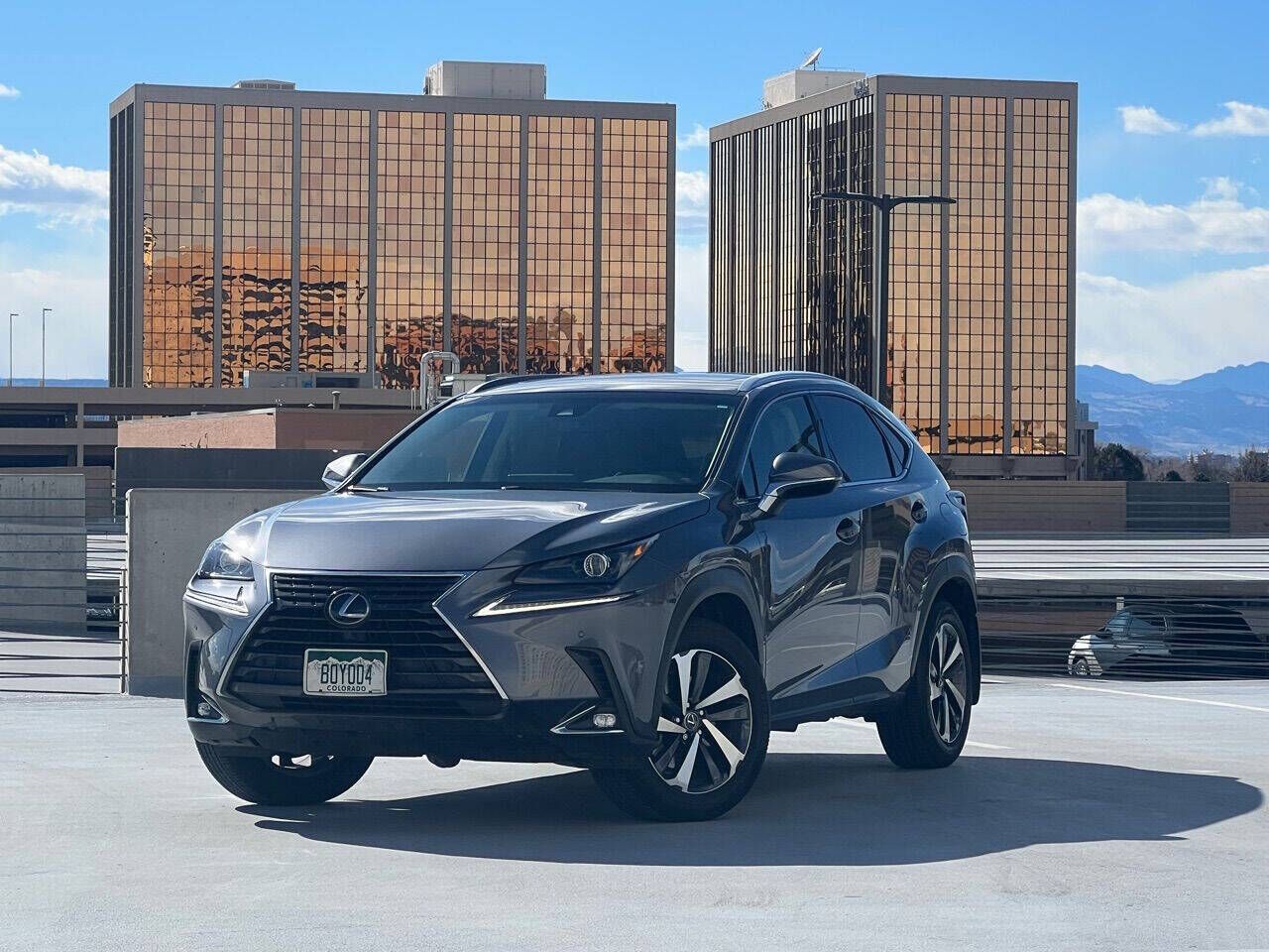 2019 LEXUS NX