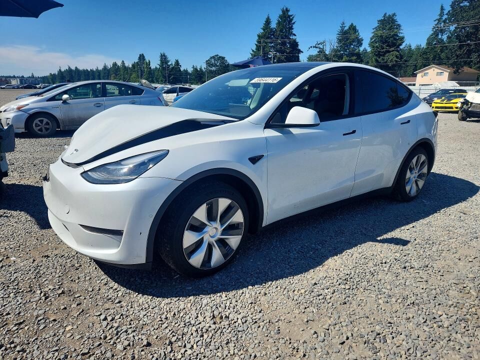 2021 TESLA Model Y