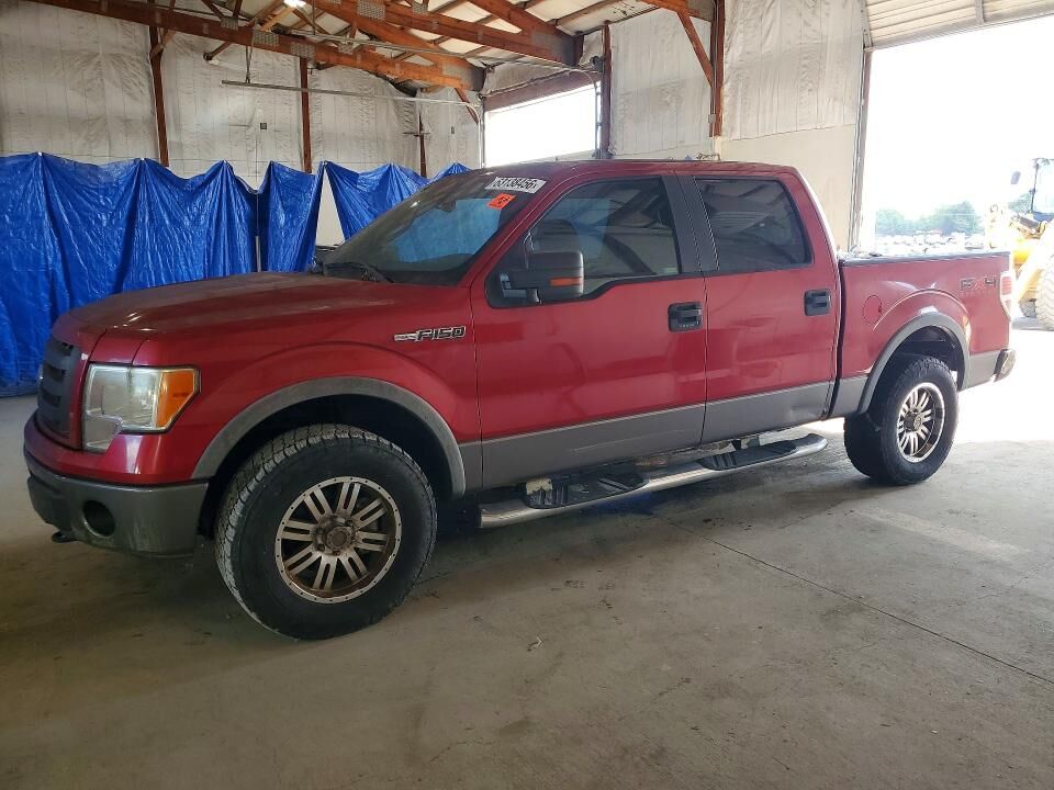 2009 FORD F-150