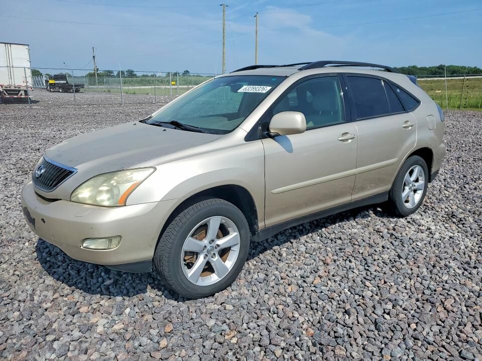 2007 LEXUS RX