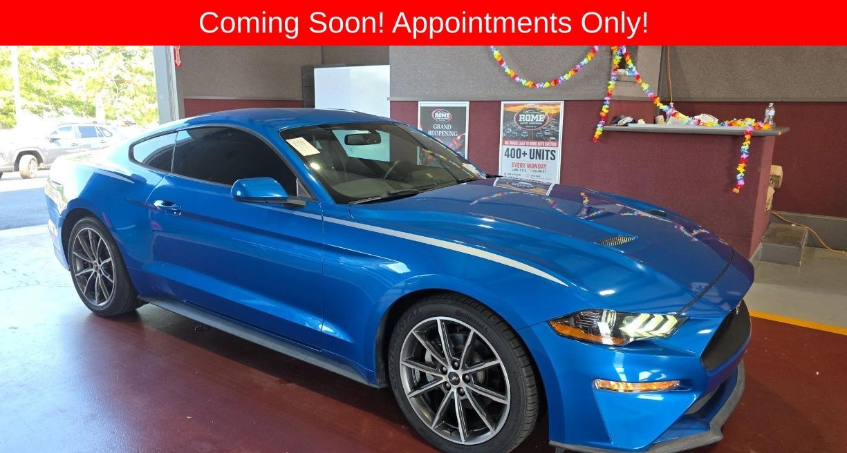 2019 FORD Mustang