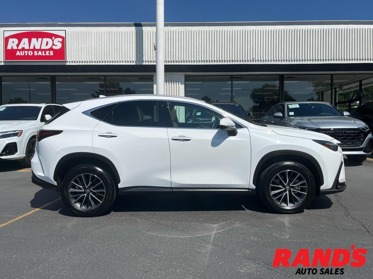 2026 LEXUS NX