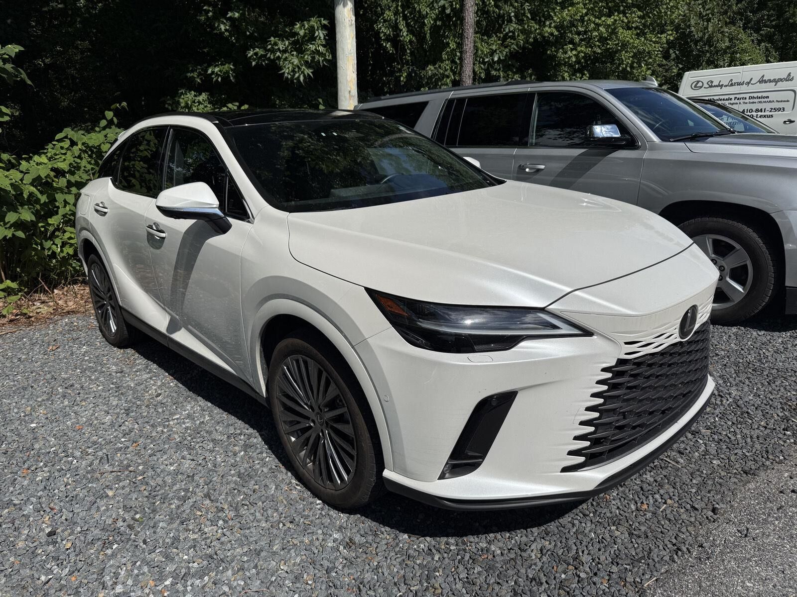 2024 LEXUS RX