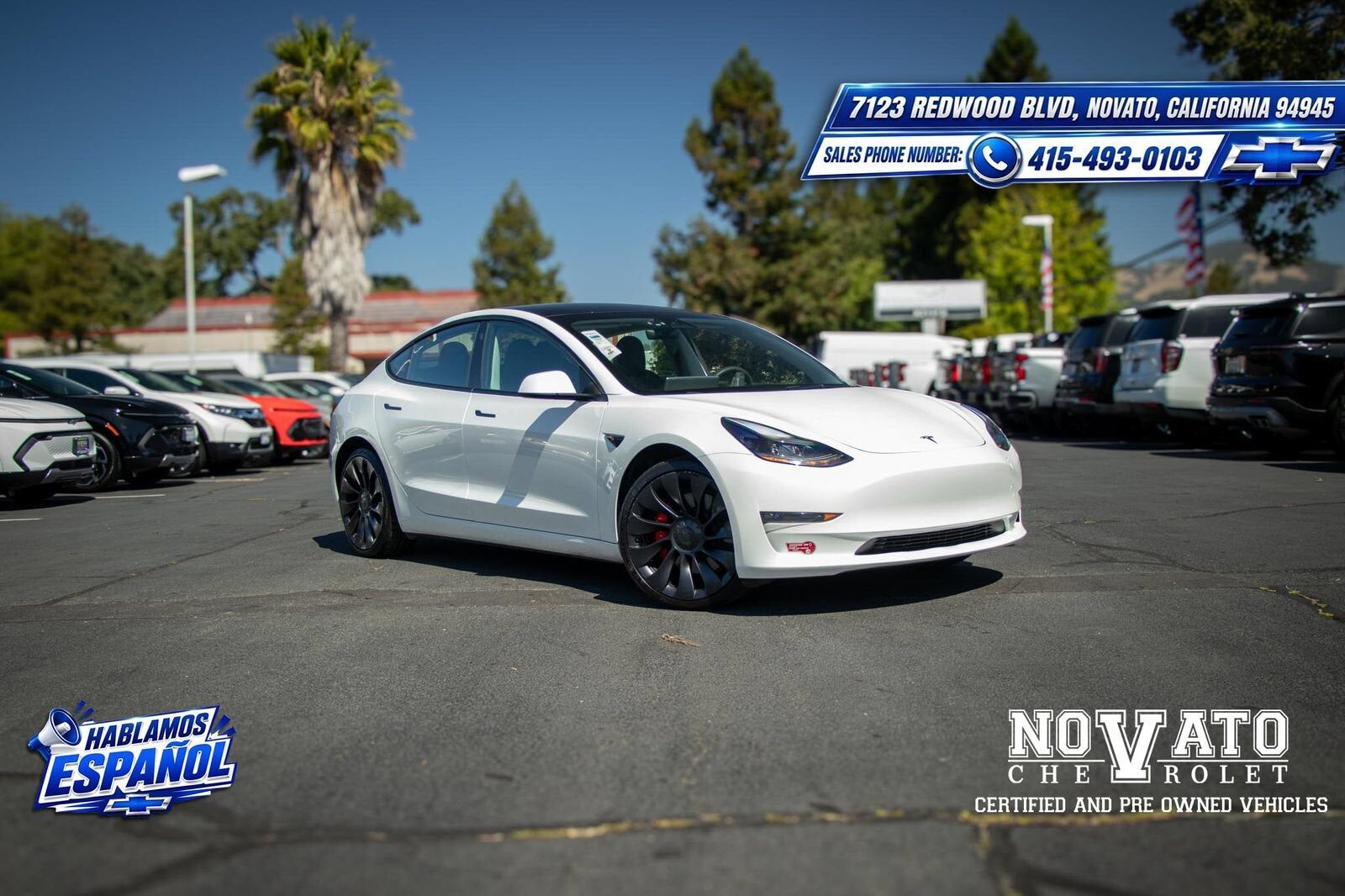 2023 TESLA Model 3