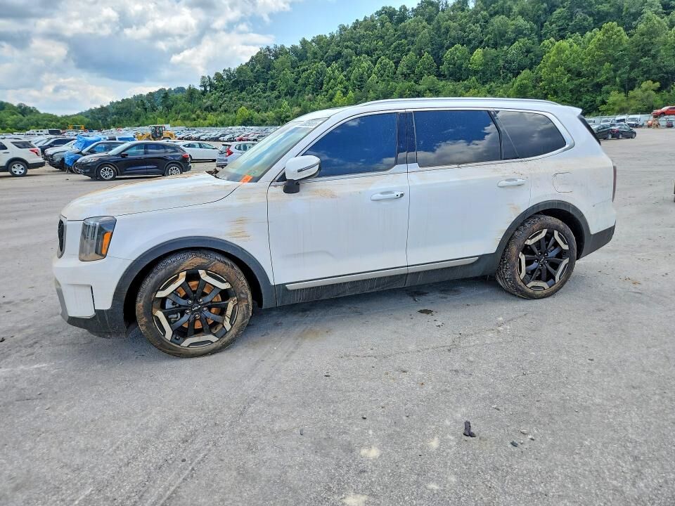2025 KIA Telluride