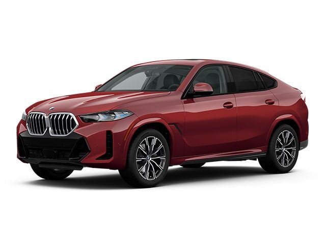2026 BMW X6