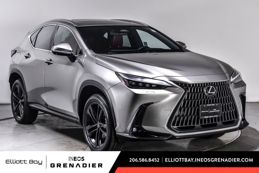 2024 LEXUS NX