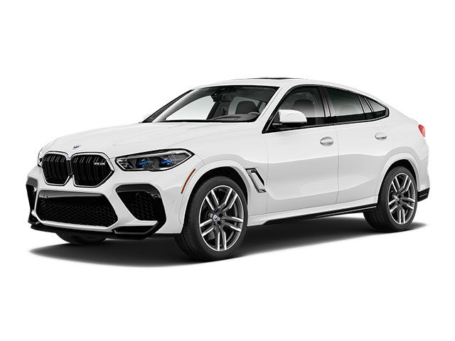 2023 BMW X6