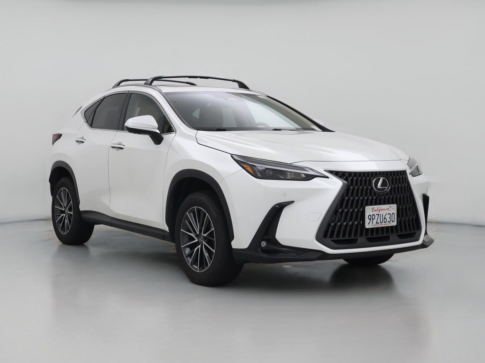 2025 LEXUS NX