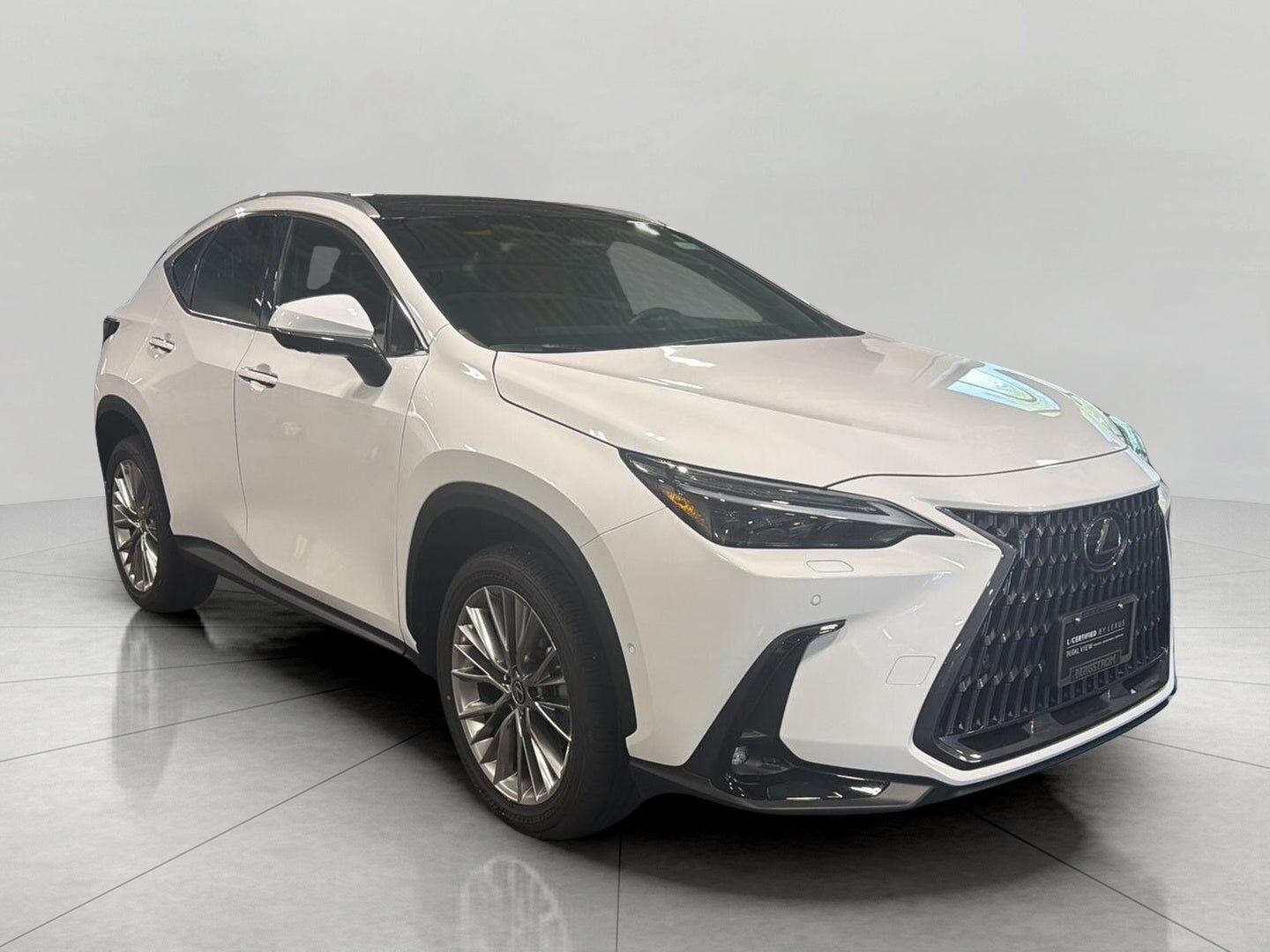 2026 LEXUS NX