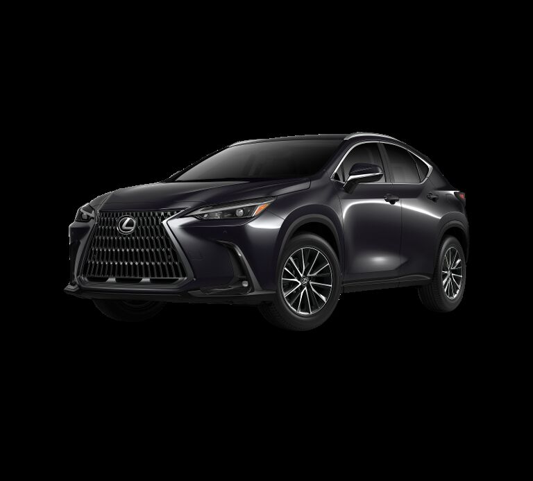 2025 LEXUS NX