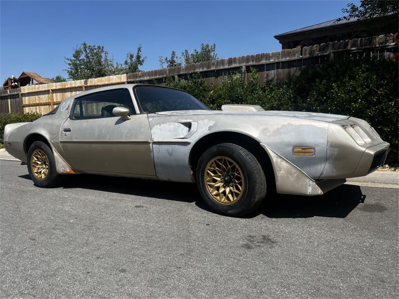 1981 PONTIAC Firebird
