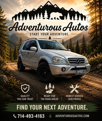 2002 MERCEDES-BENZ M-Class