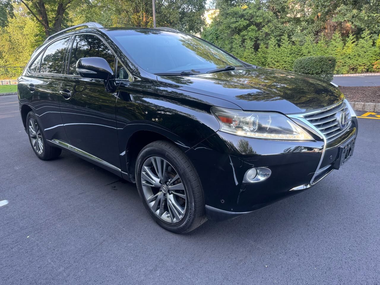 2013 LEXUS RX