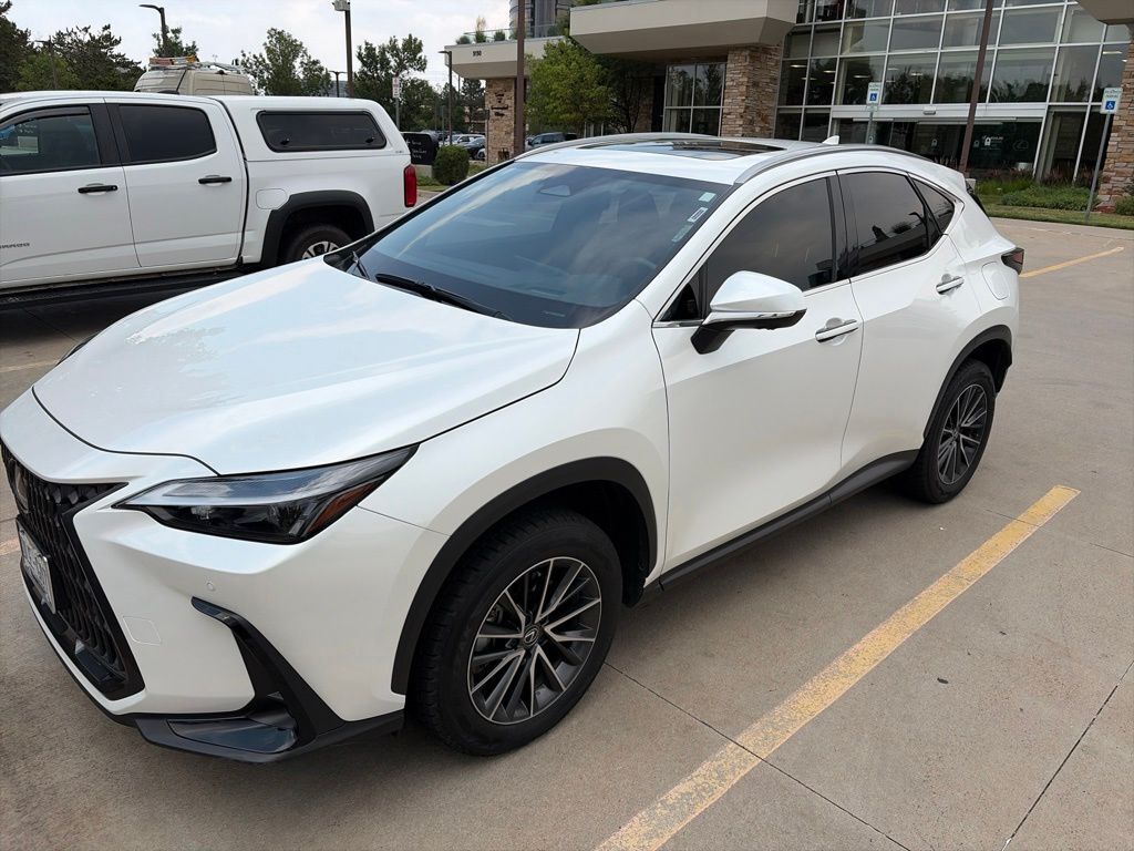 2024 LEXUS NX