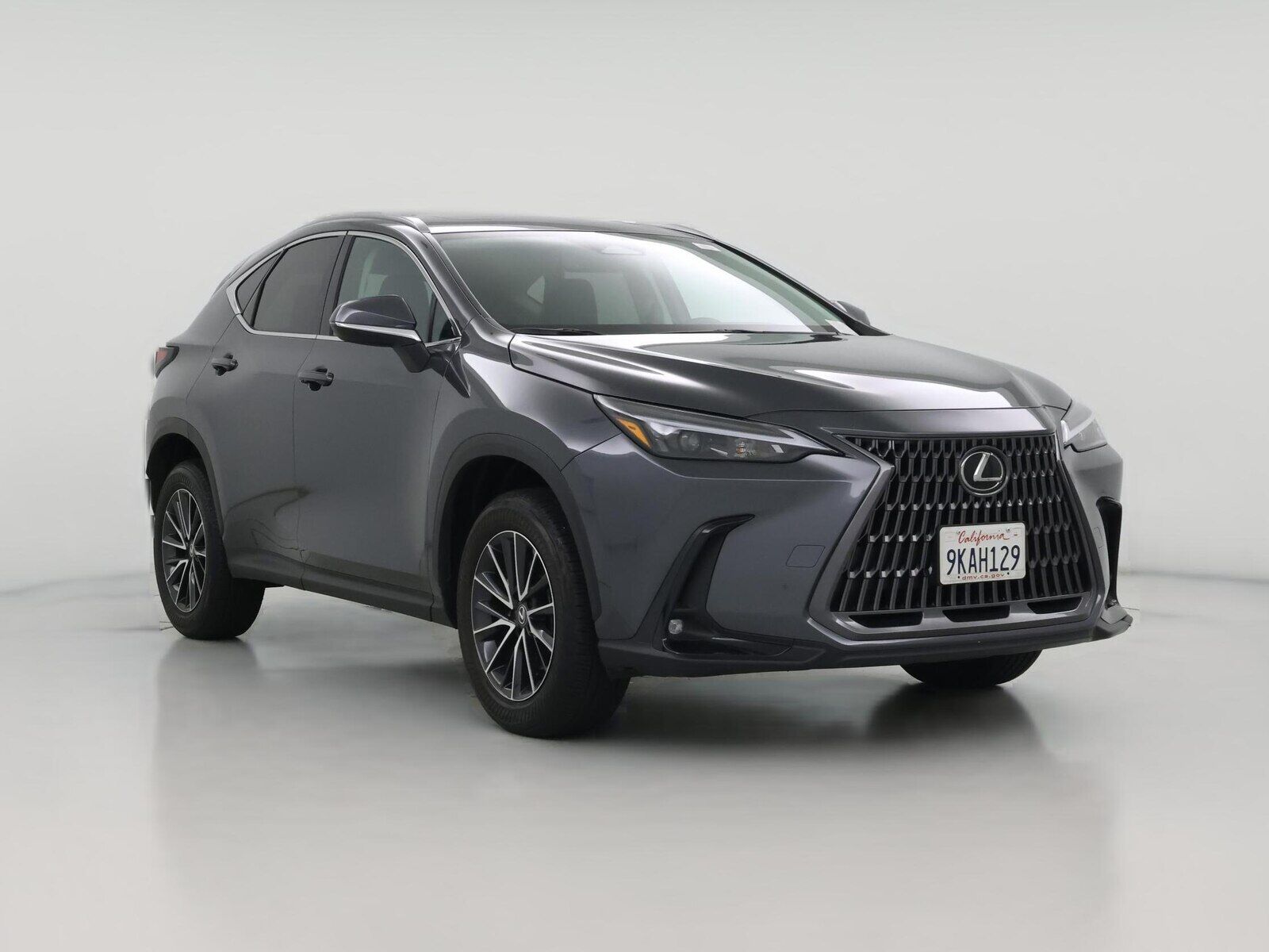 2024 LEXUS NX