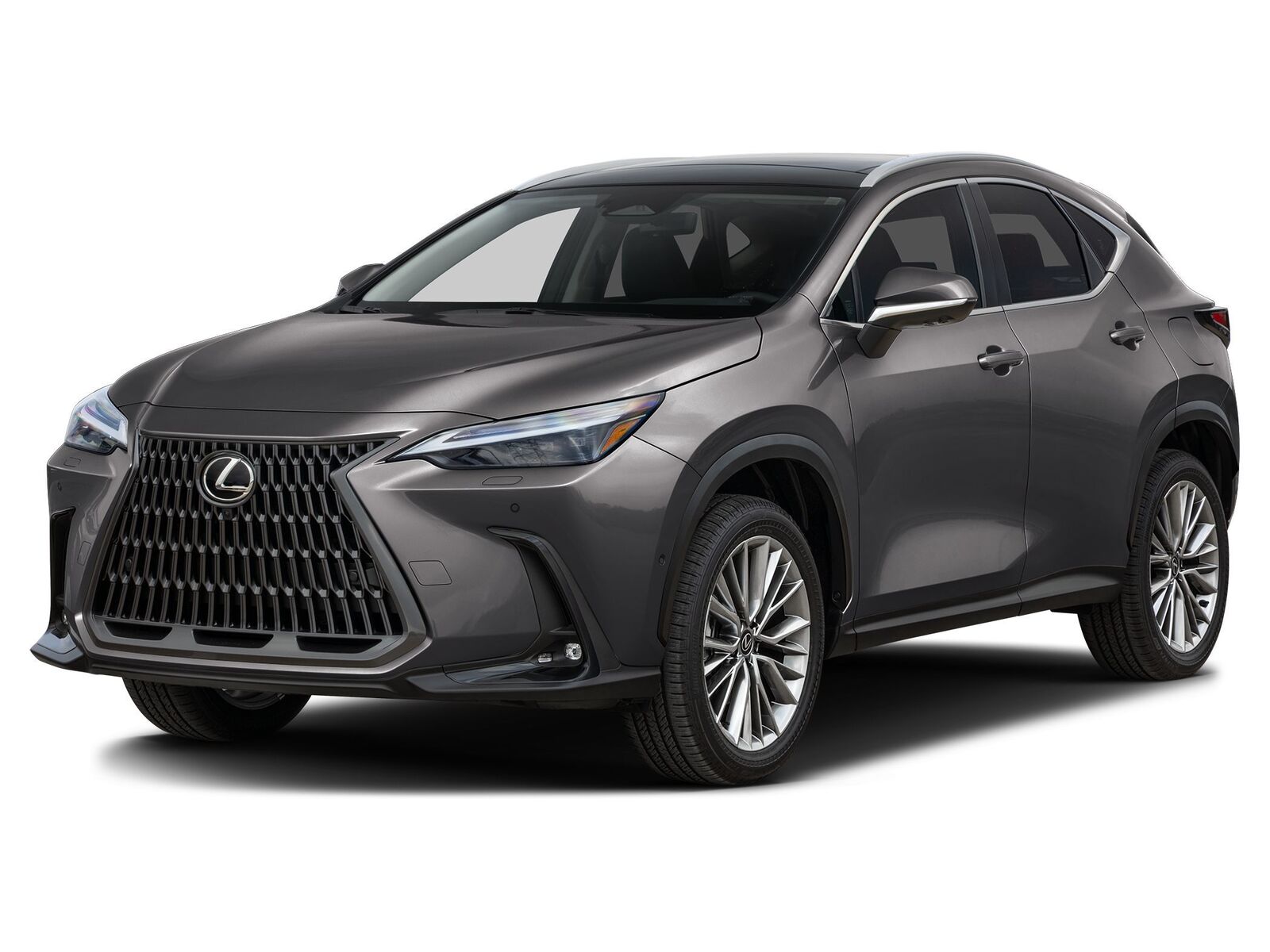 2026 LEXUS NX