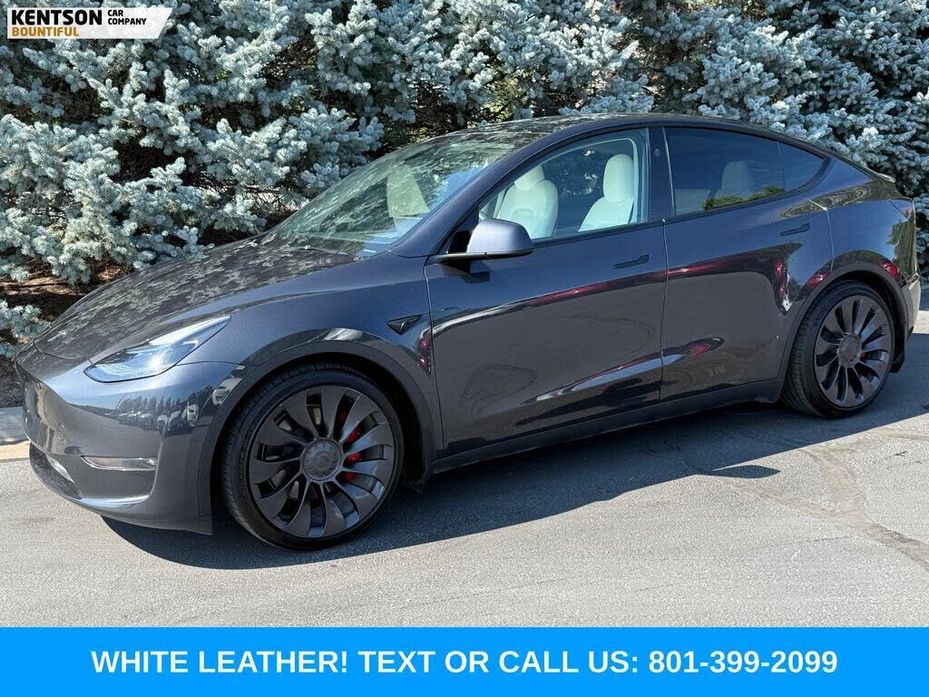 2024 TESLA Model Y