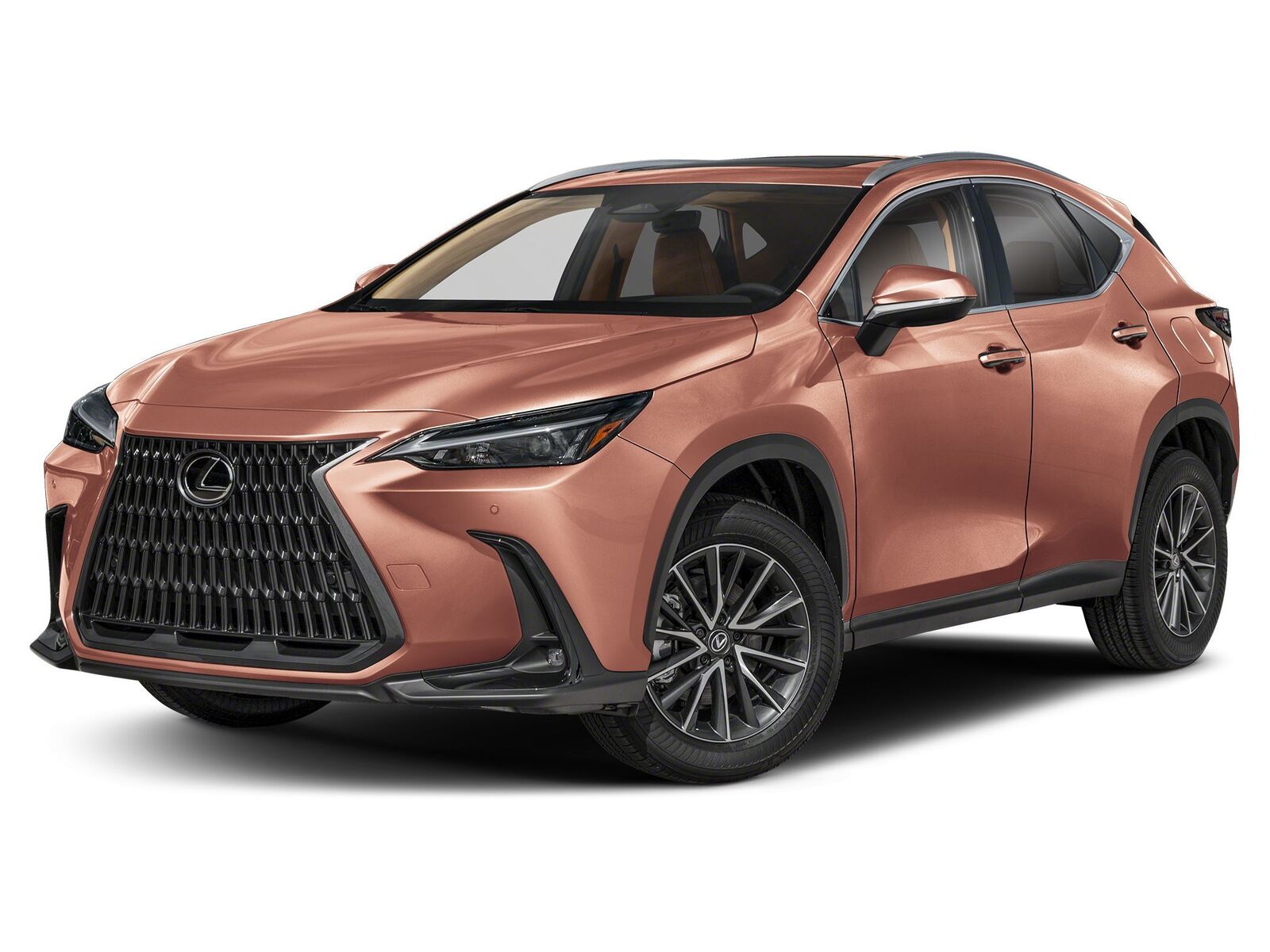 2025 LEXUS NX