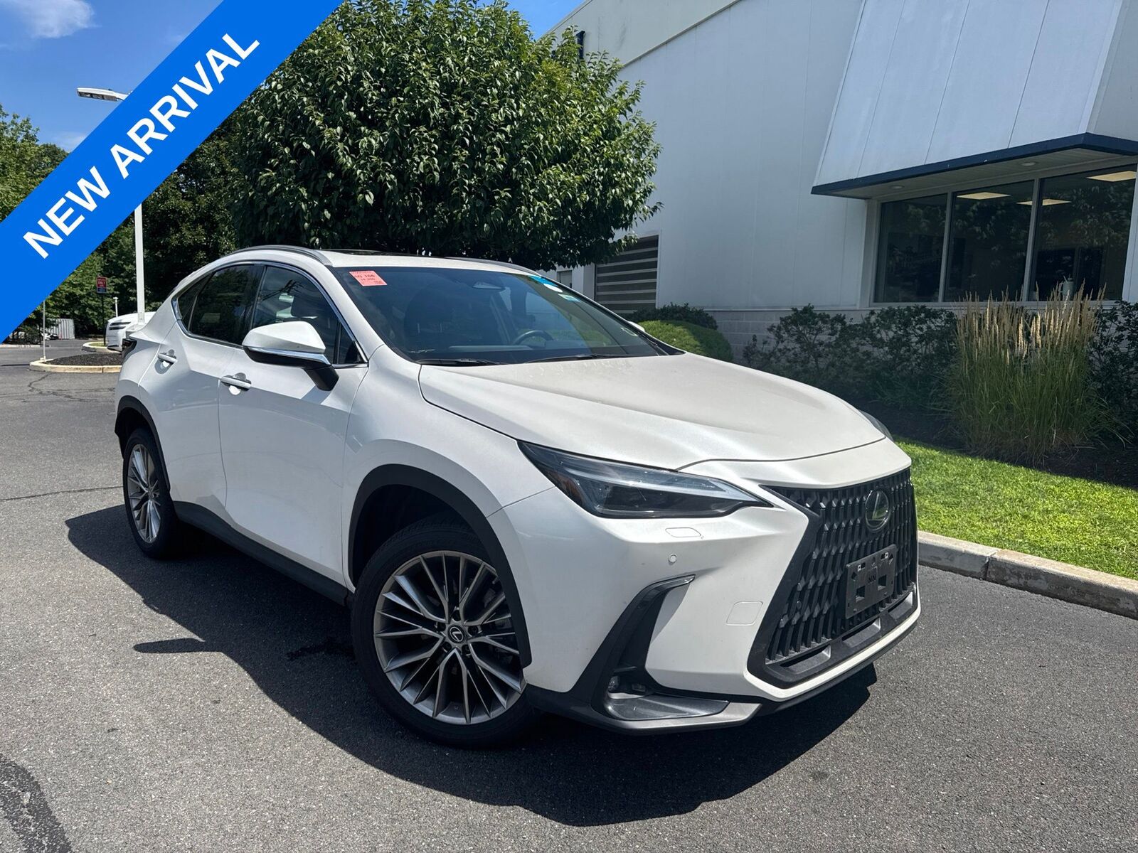 2023 LEXUS NX