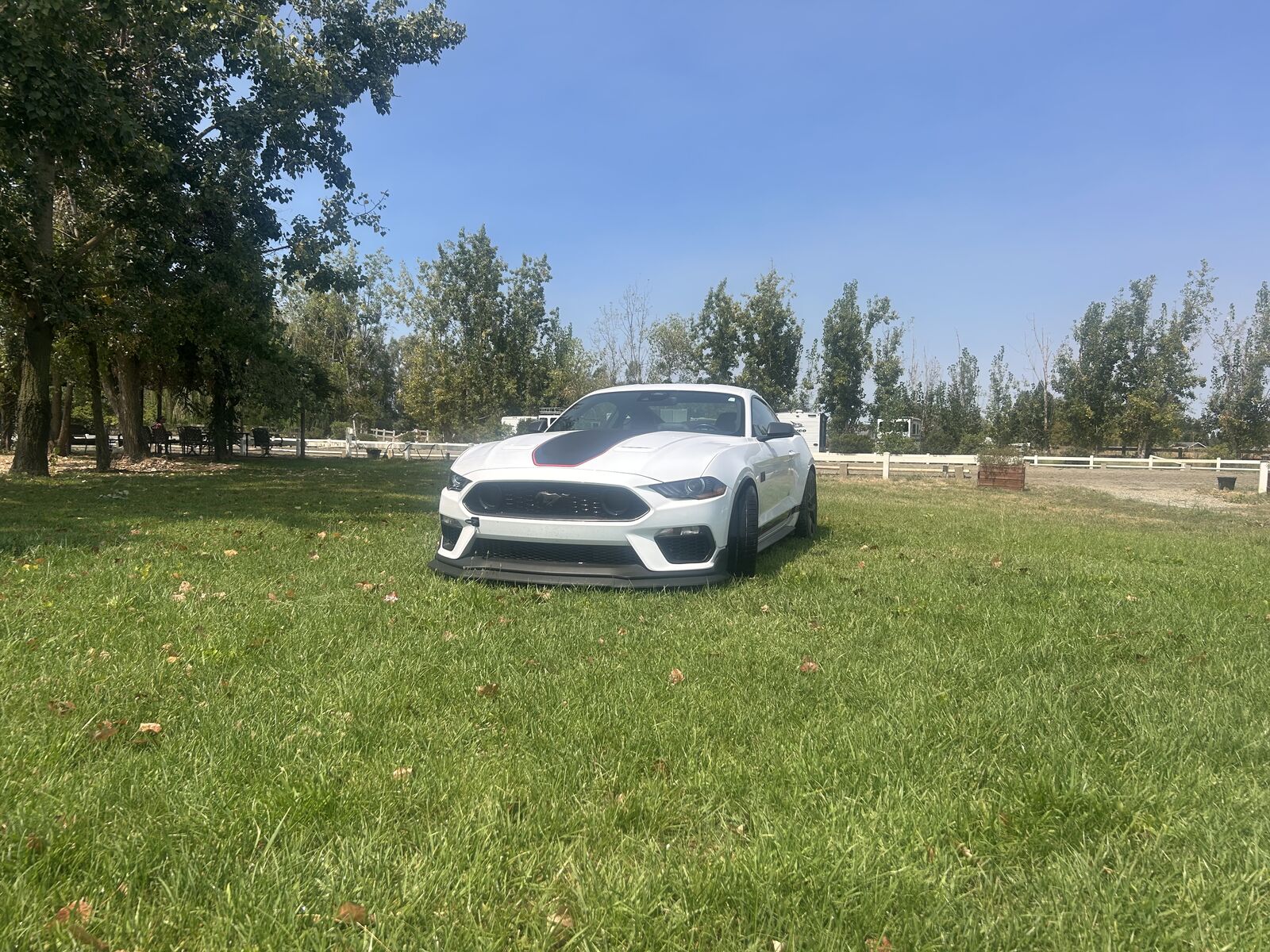 2022 FORD Mustang