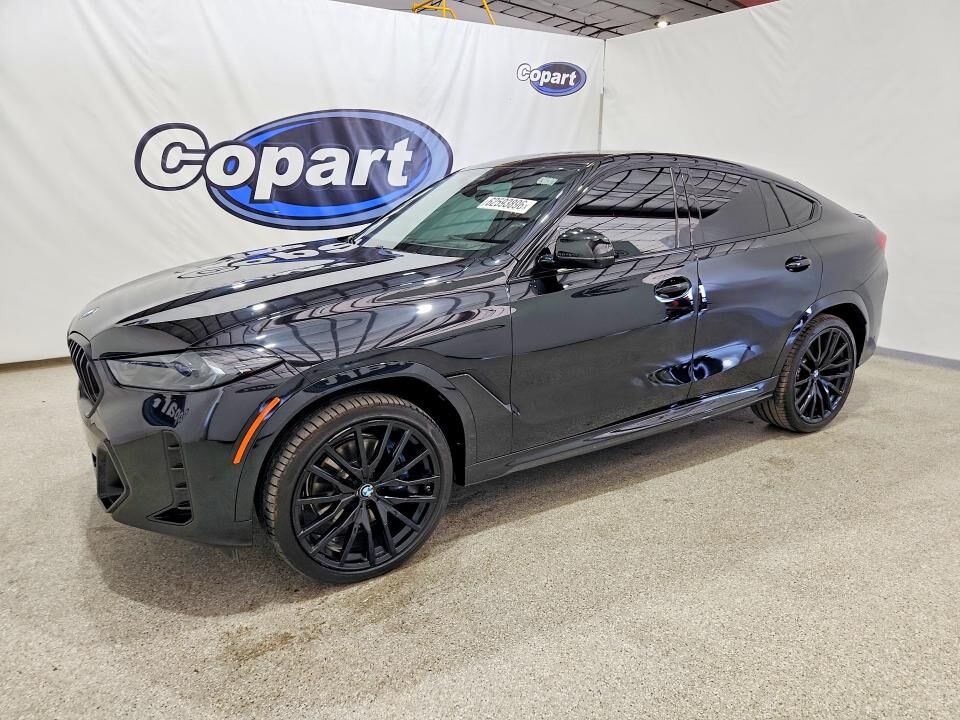 2024 BMW X6