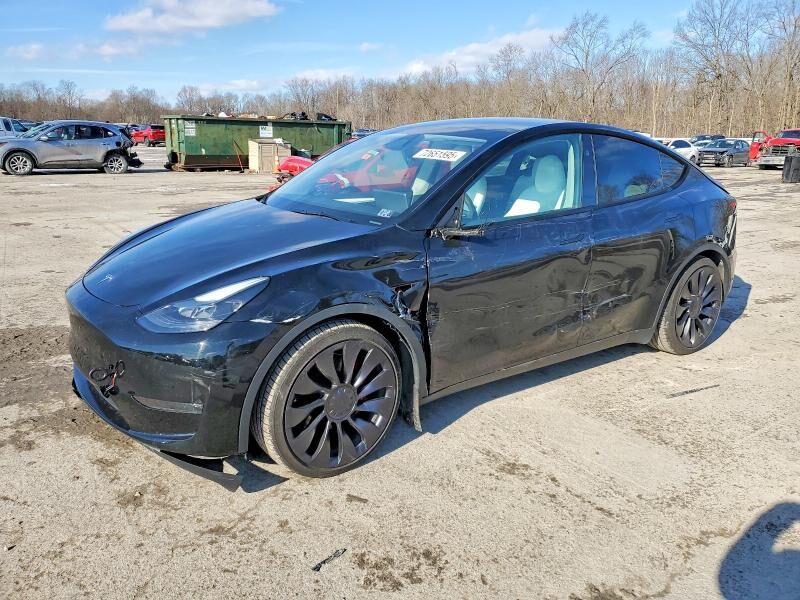 2024 TESLA Model Y