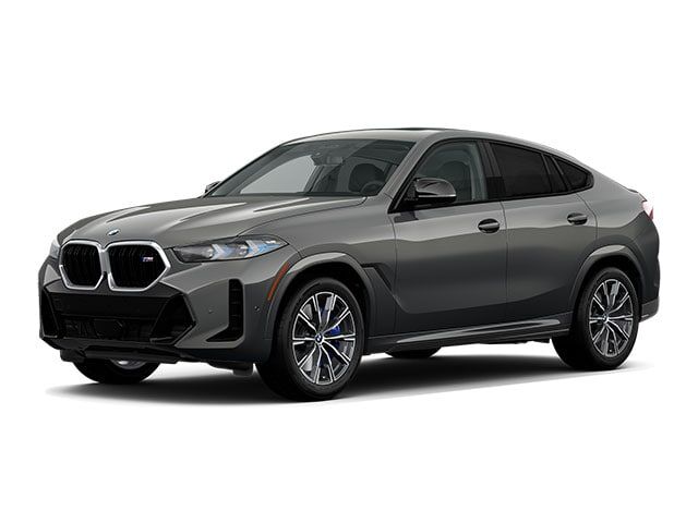 2024 BMW X6