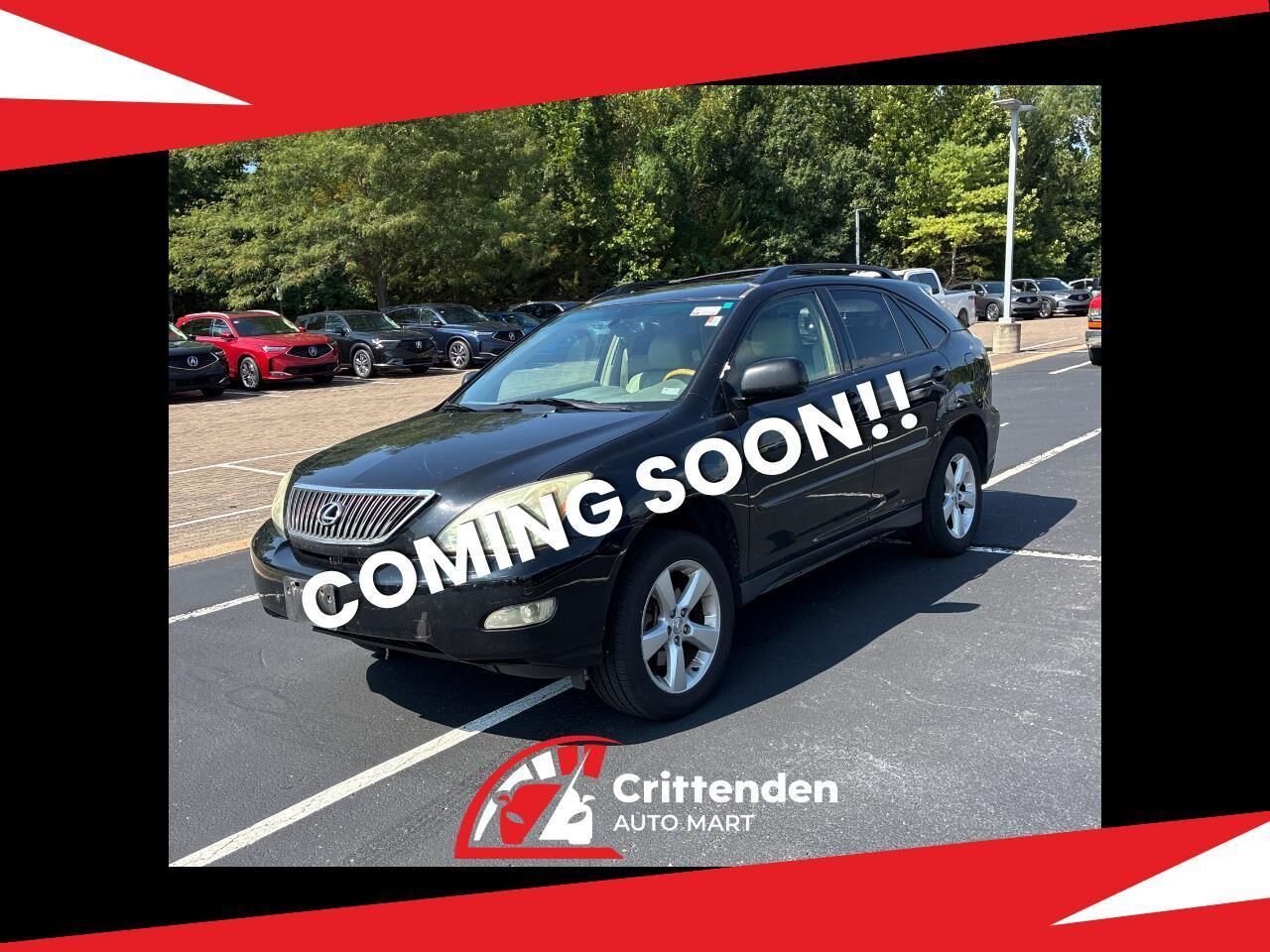 2005 LEXUS RX