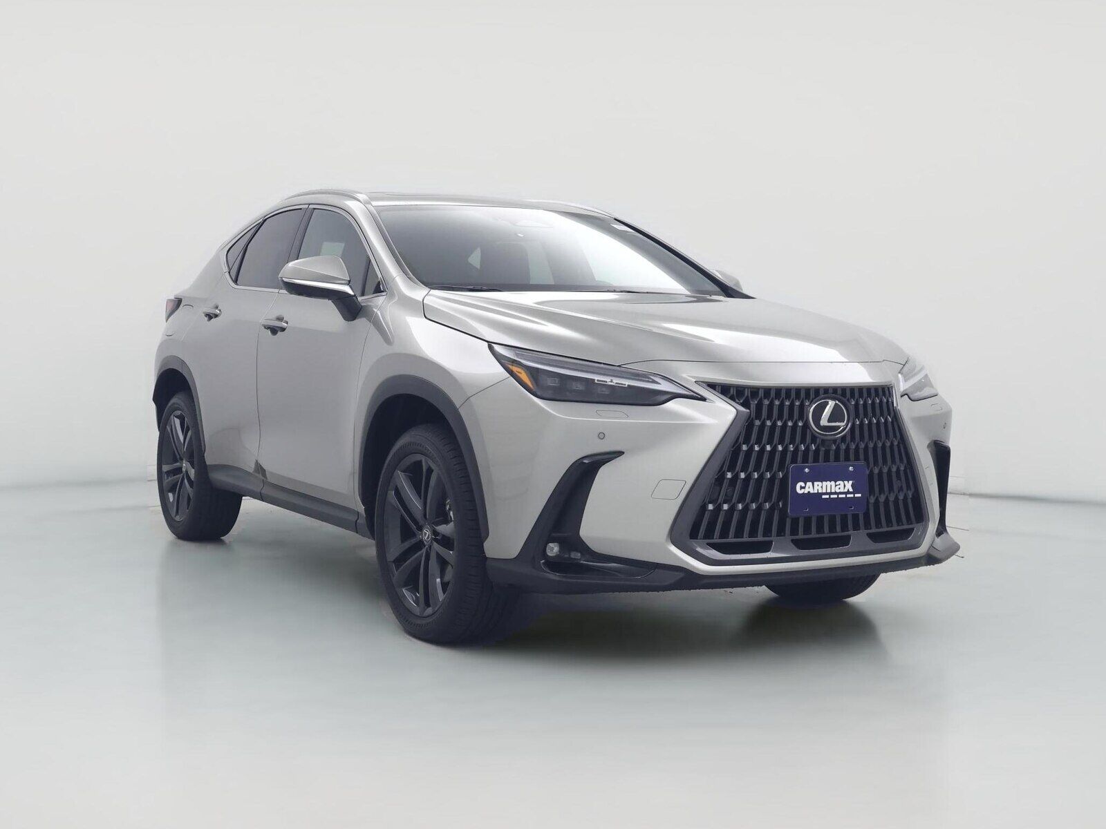 2024 LEXUS NX