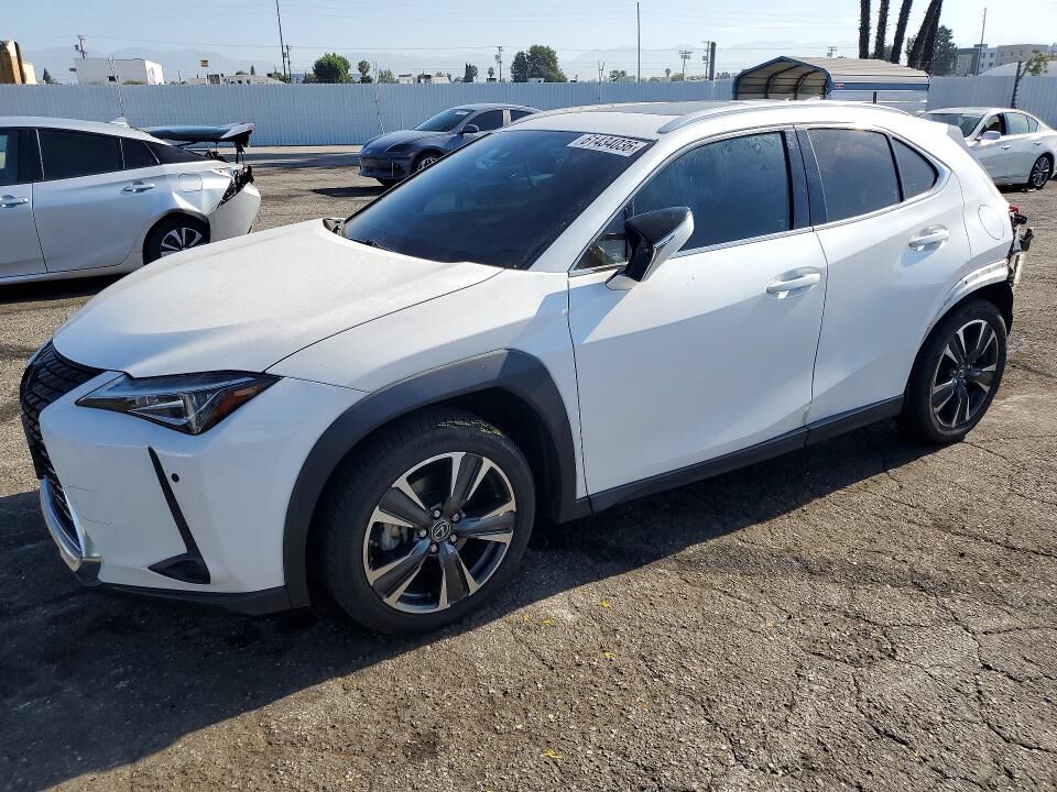 2019 LEXUS UX