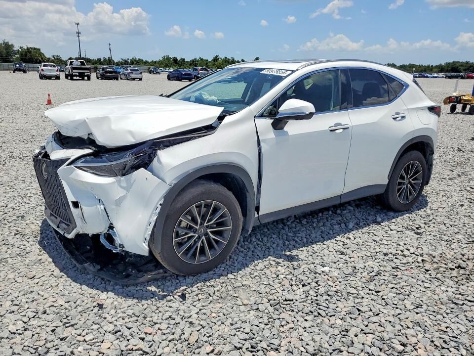 2026 LEXUS NX