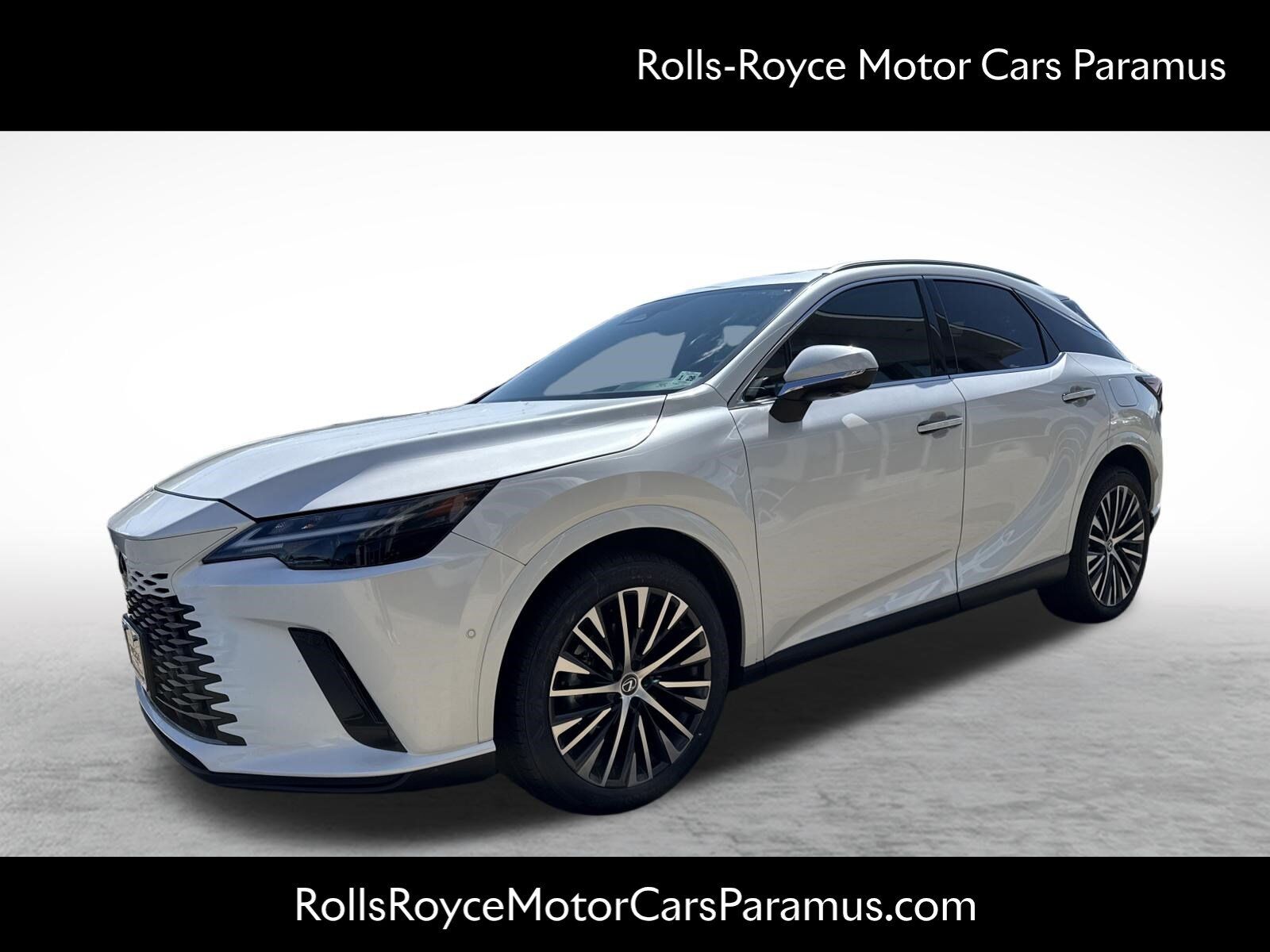 2024 LEXUS RX