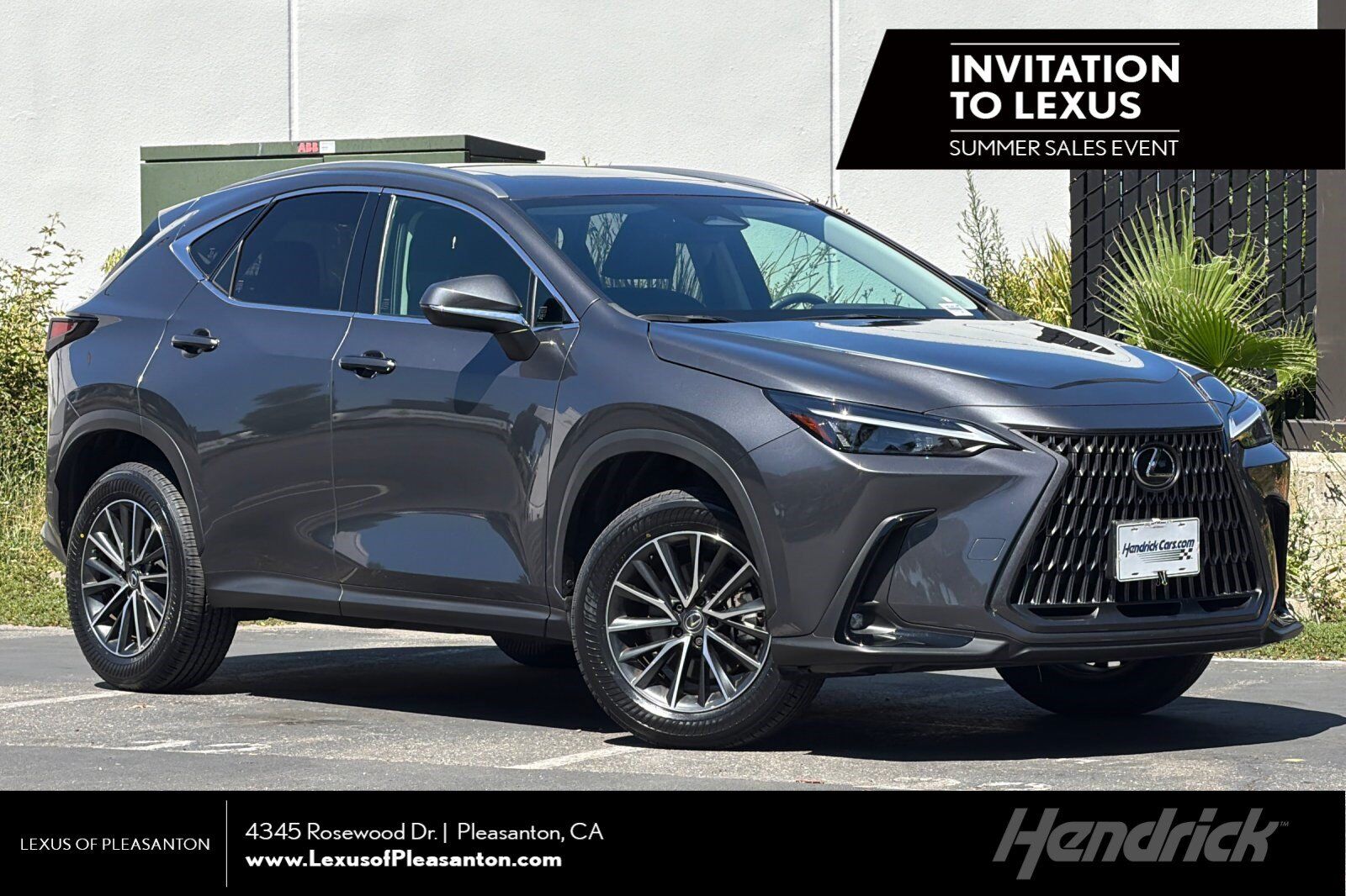 2024 LEXUS NX