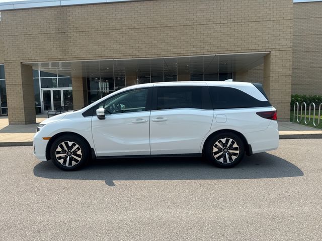 2026 HONDA Odyssey