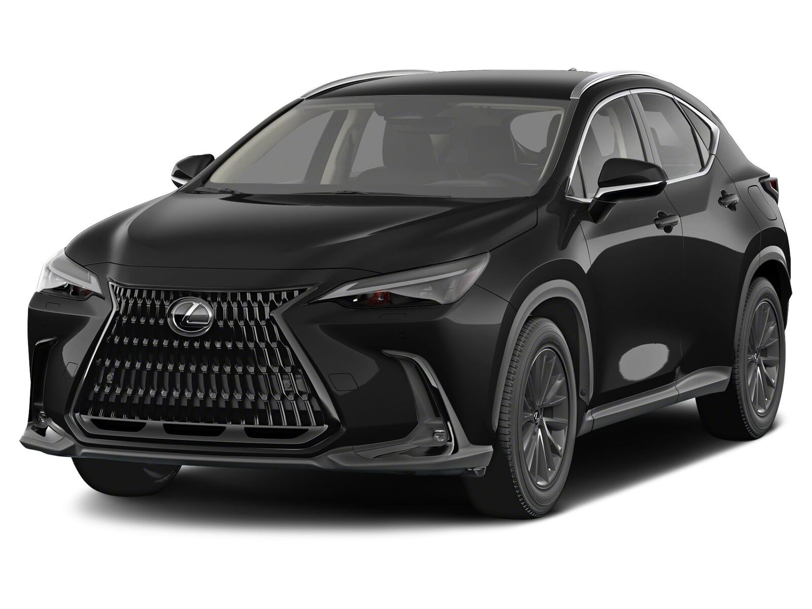 2024 LEXUS NX