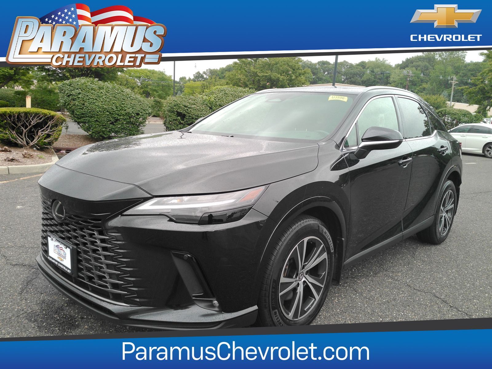 2024 LEXUS RX