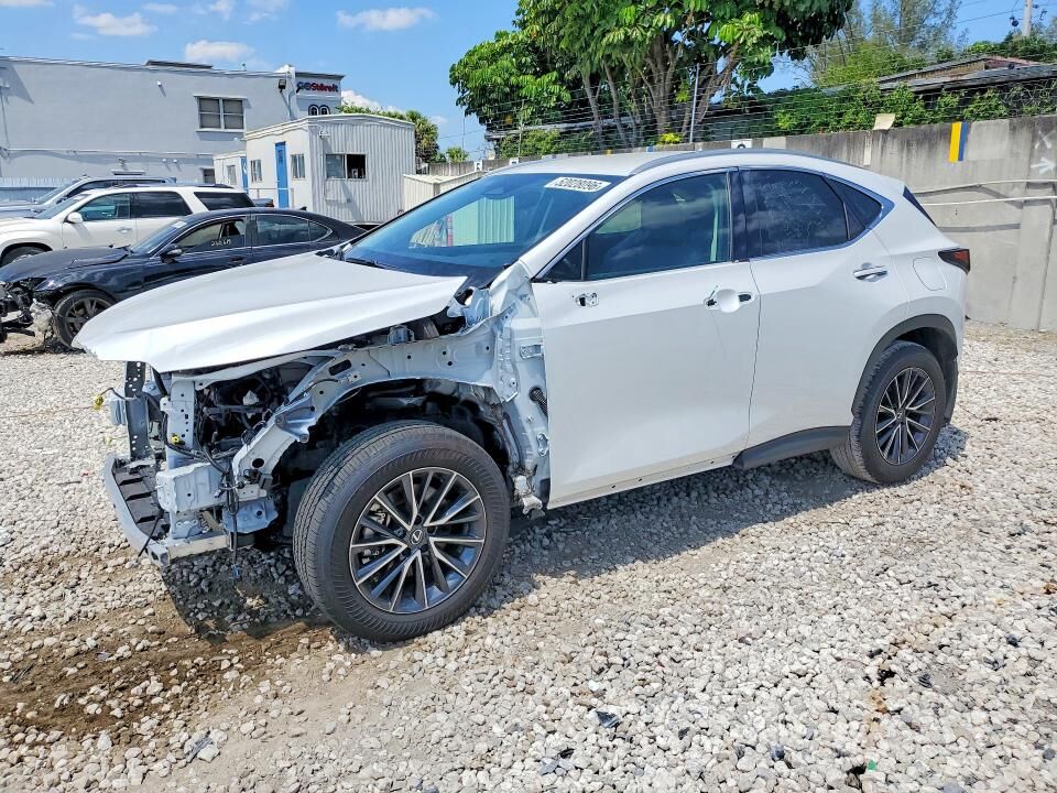 2025 LEXUS NX