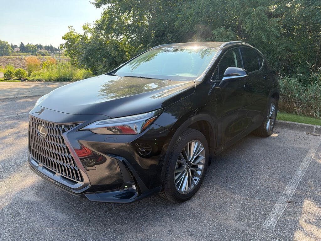 2024 LEXUS NX
