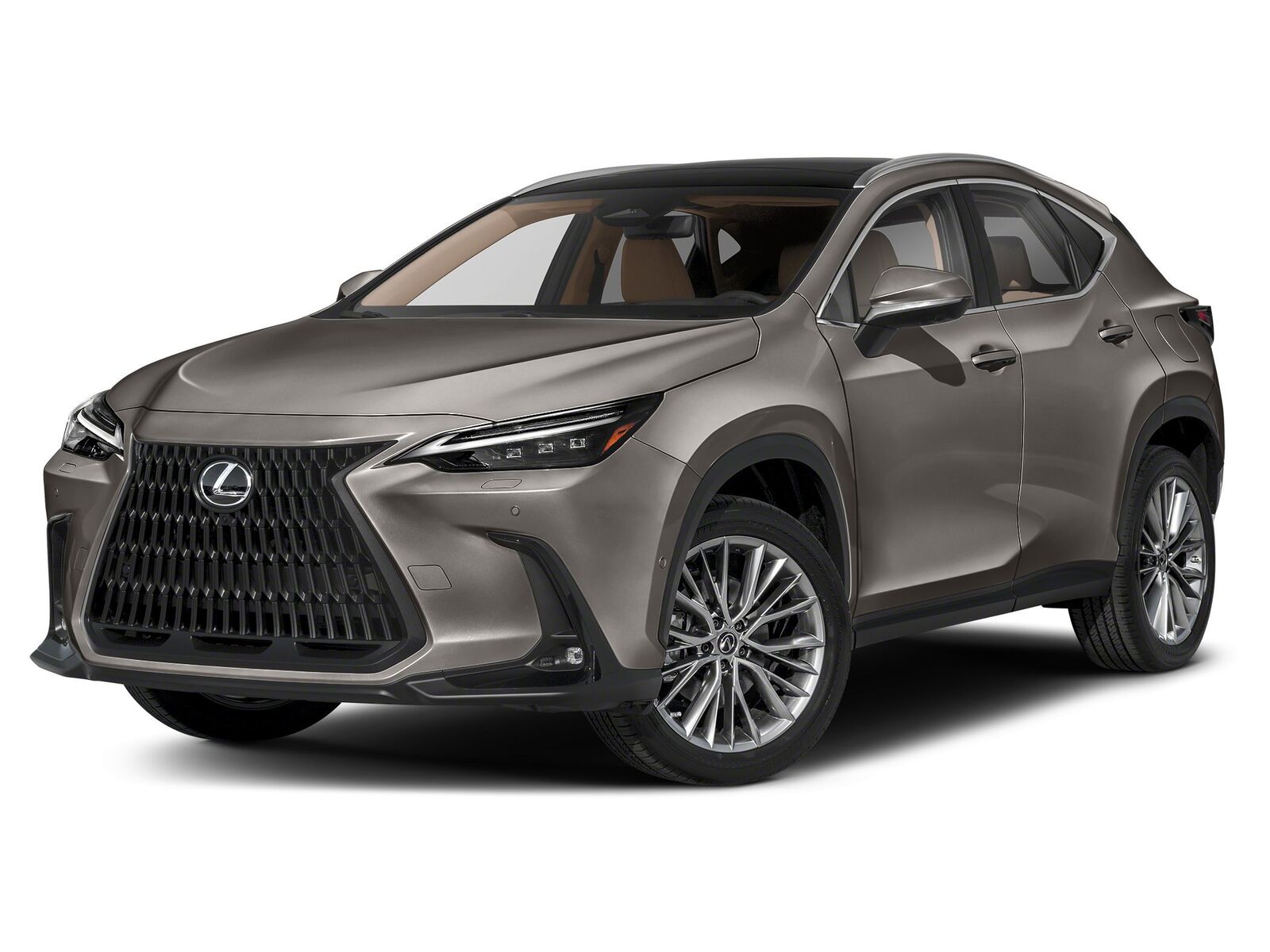 2024 LEXUS NX