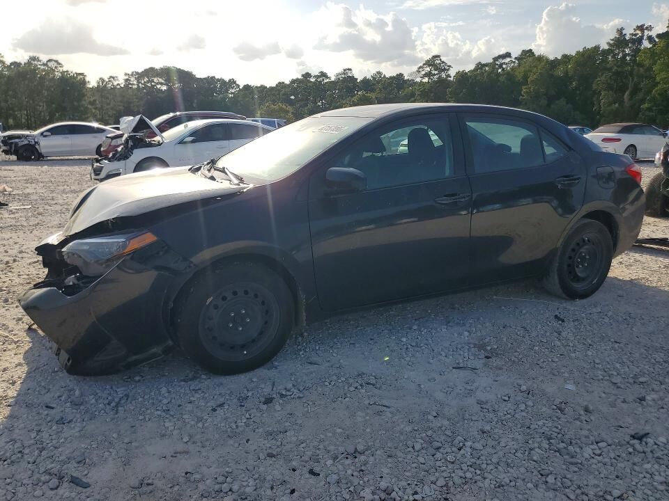 2019 TOYOTA Corolla