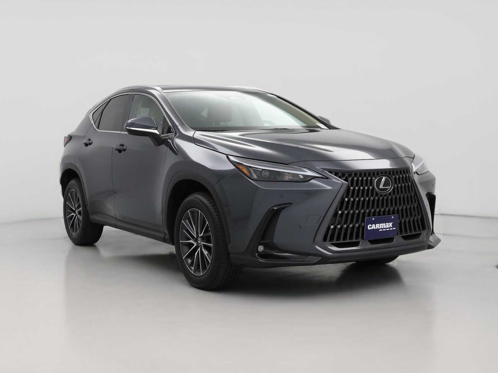 2025 LEXUS NX