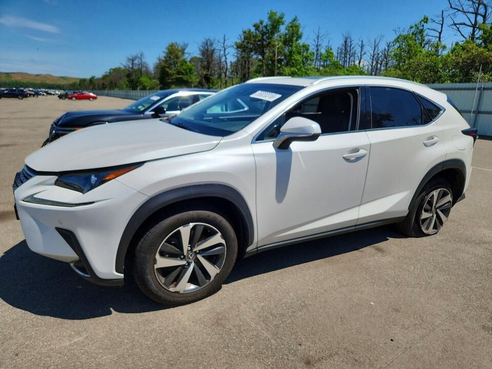 2019 LEXUS NX