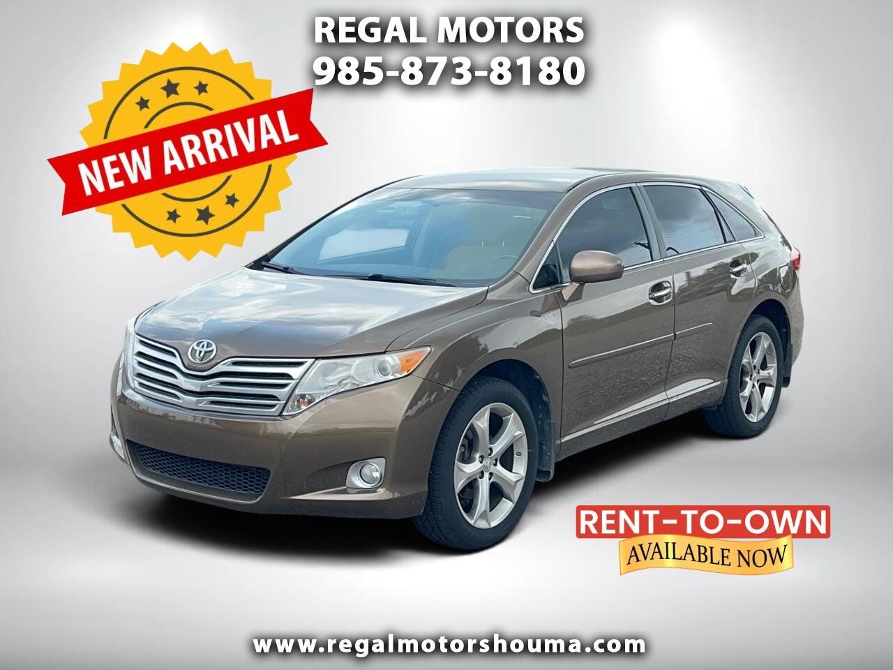 2009 TOYOTA Venza